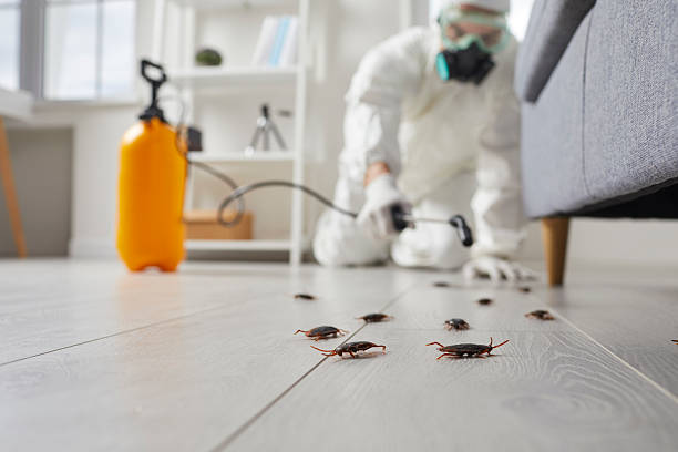Trusted Fumigation Services service in Wekiwa Springs, FL - Nex Pest Control