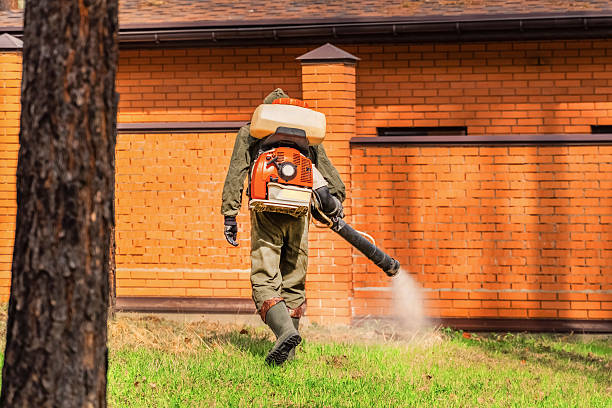 Trusted Rodent Control service in Wekiwa Springs, FL - Nex Pest Control